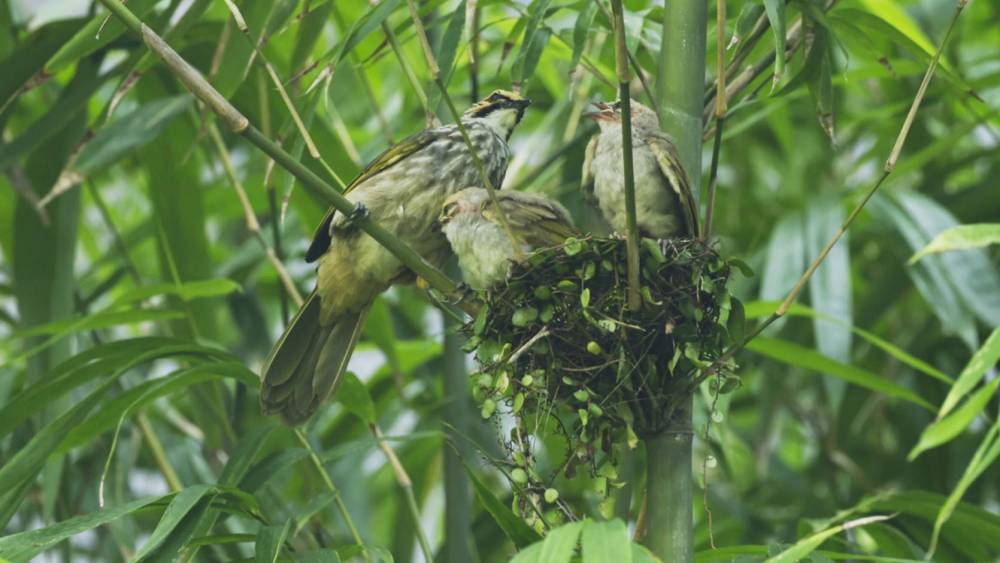 The Last Straws Are Here To Stay