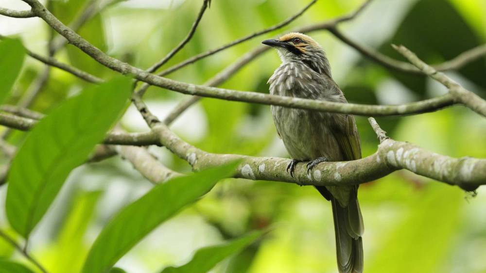 The Last Straws Are Here To Stay