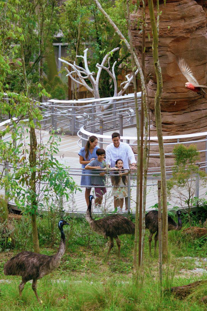 Shaw Foundation Australian Outback