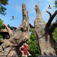 Rwanda Nyungwe Forest Heart of Africa