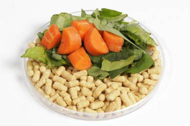 Responsible Sourcing