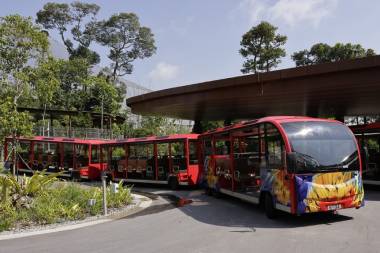 Sustainable Transport