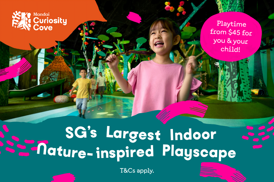 Curiosity Cove — Newly Launched