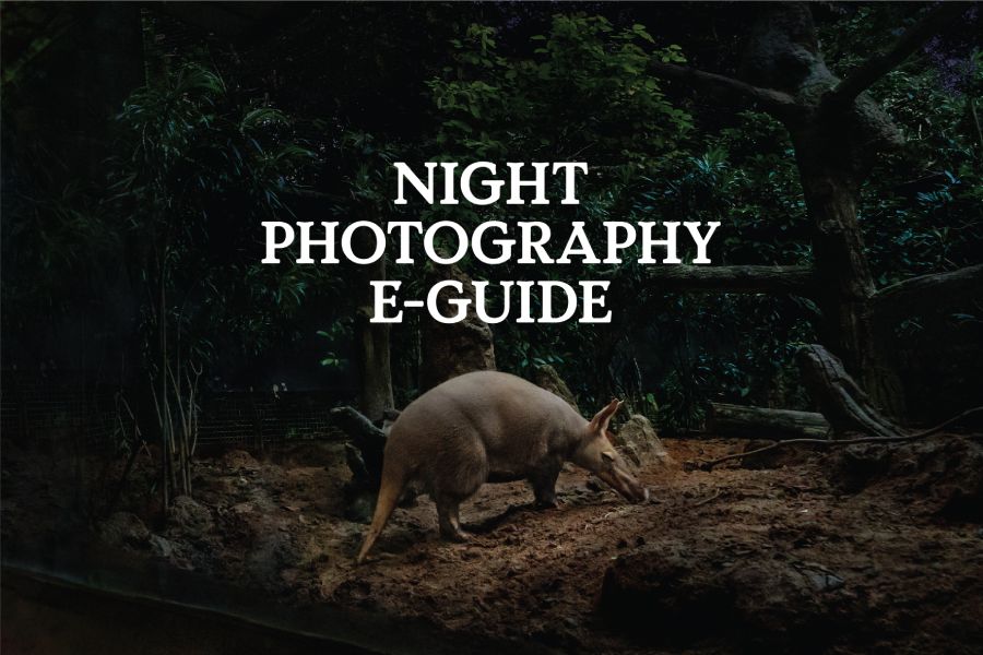 Night Photography E-Guide