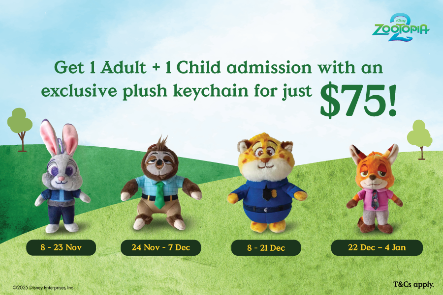 Disney Zootopia Adventure Bundle