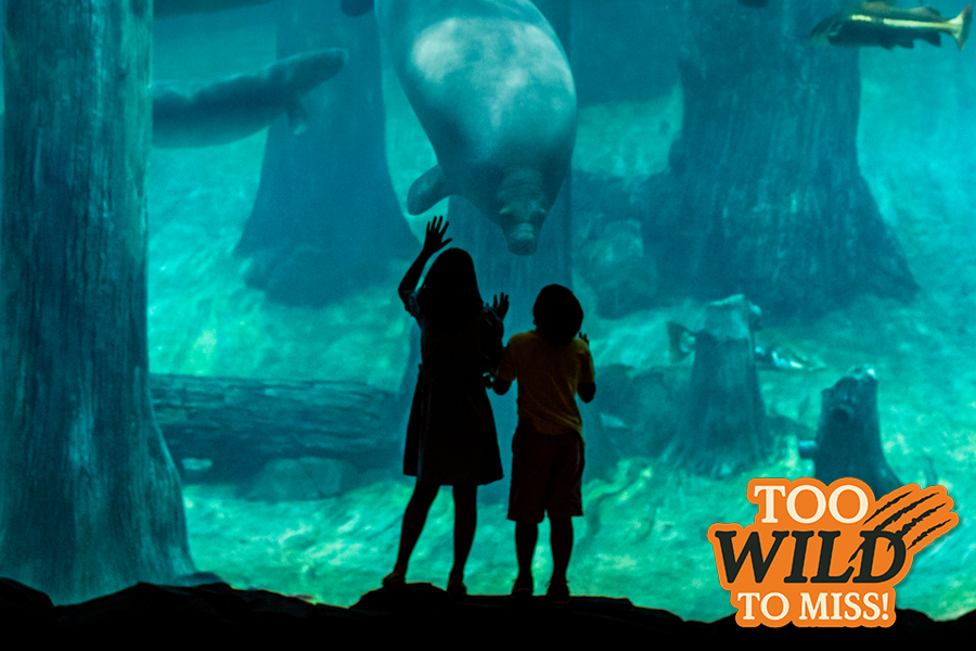 River Wonders Itinerary