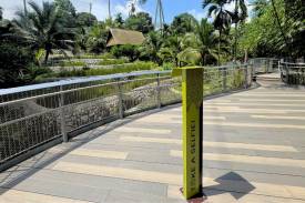 Kuok Group Wings of Asia — Rice Terrace