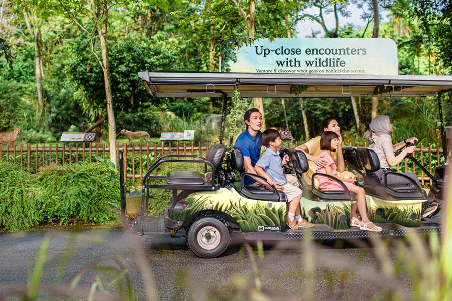 Image of a family on a buggy ride