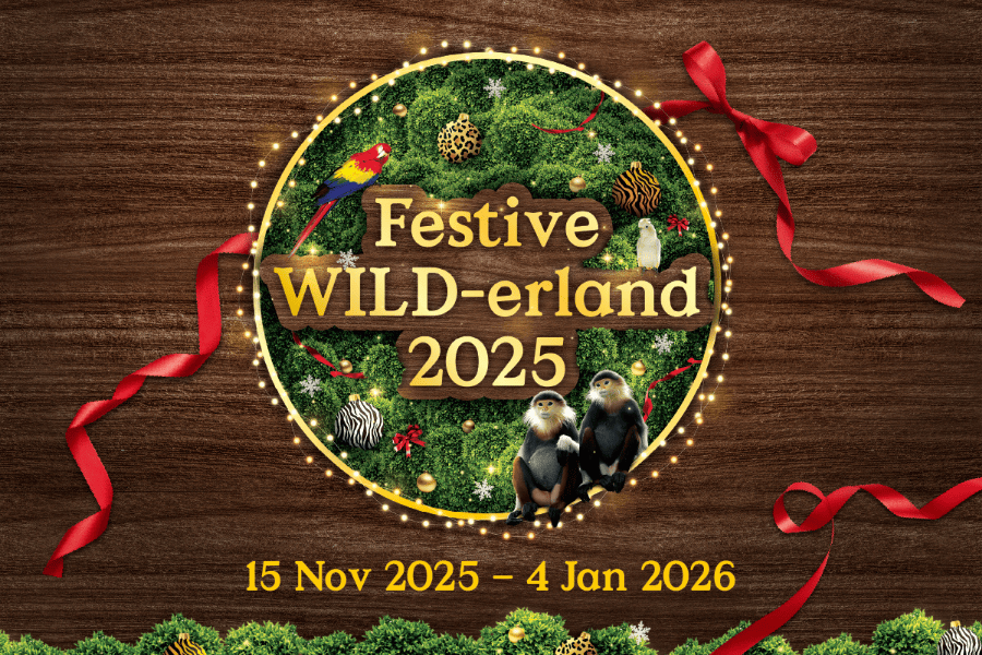 Festive WILD-erland