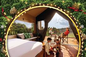 2D1N Stay at Colugo Camp