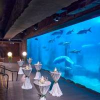 Amazon Flooded Forest