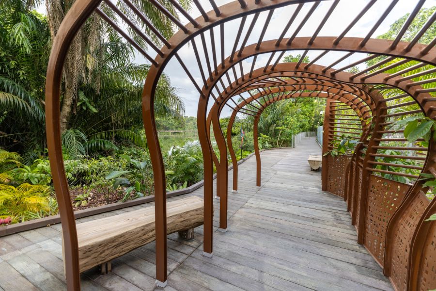 Mandai Boardwalk Kingfisher Cave