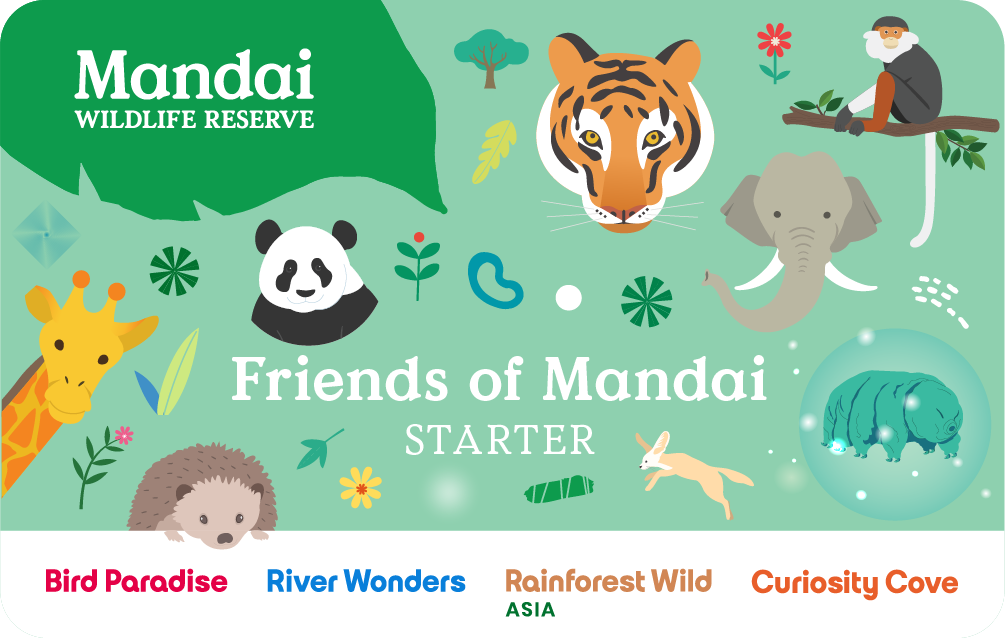 Friends of Mandai Starter