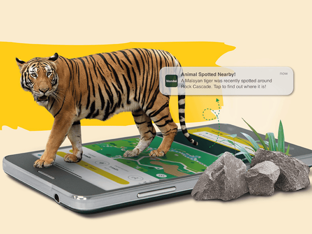 Be the first to know about animal sightings* and where to spot them in action​