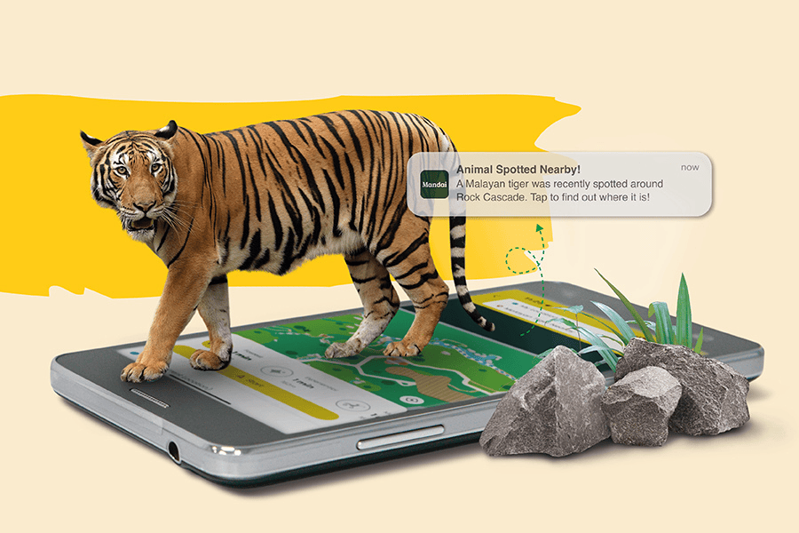 Be the first to know about animal sightings* and where to spot them in action​