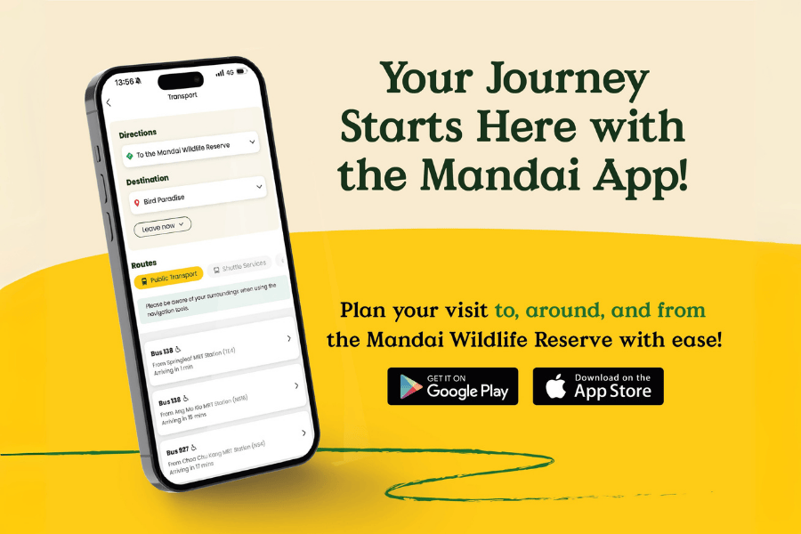 Your journey starts here with the Mandai App! Plan your visit to, around, and from the Mandai Wildlife Reserve with ease!