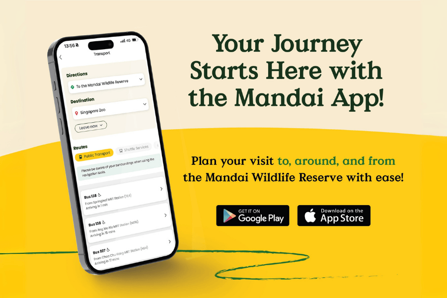 Your journey starts here with the Mandai App!