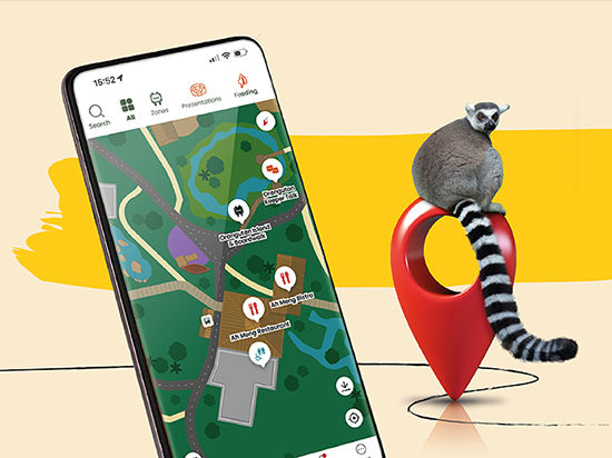 Mandai 앱 다운로드