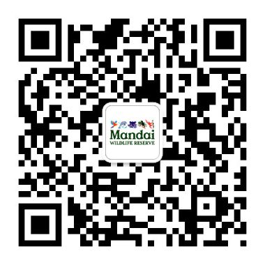 WeChat qr-code