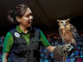 ショーの座席を予約