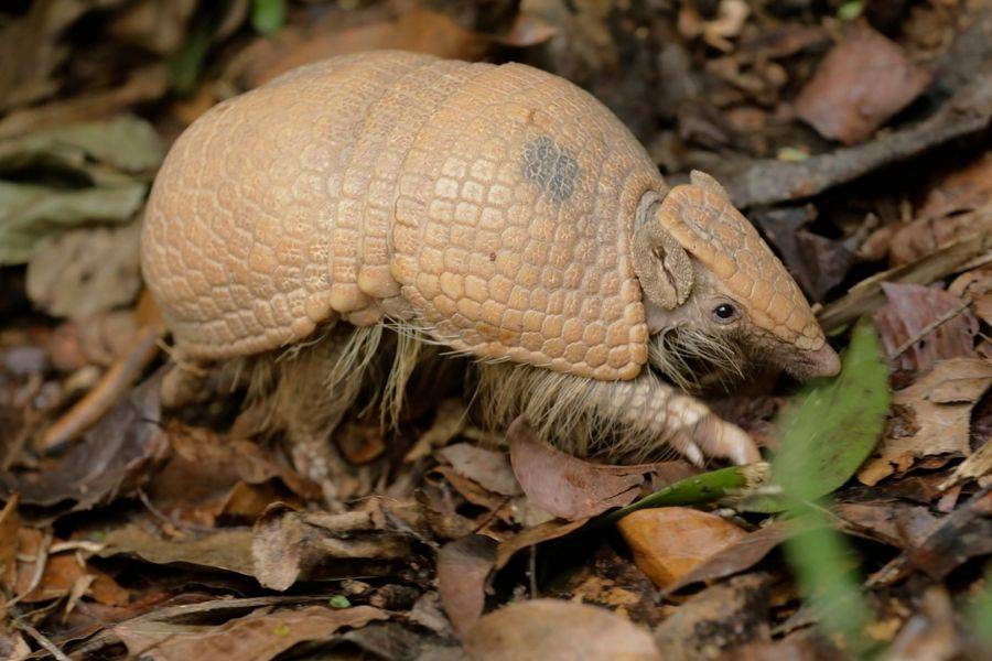 Image for Explorer Outpost Keeper Talk 