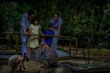 サファリ・トレイル