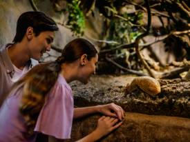 動物たちに敬意を