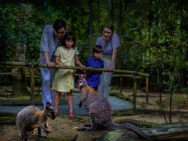 お子様からは目を離さないでください