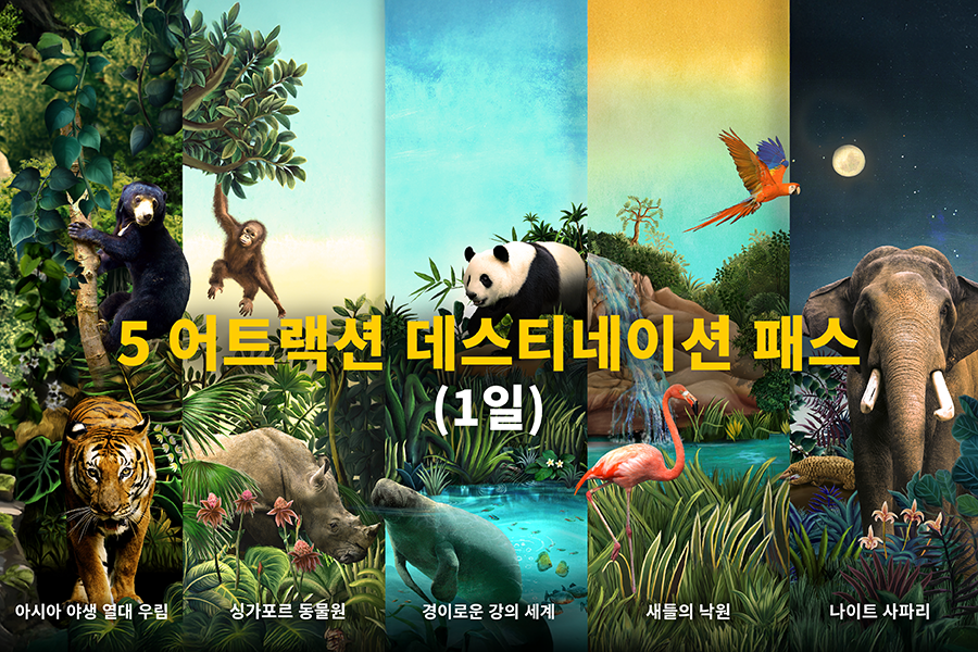 5 어트랙션 데스티네이션 패스  (1일)