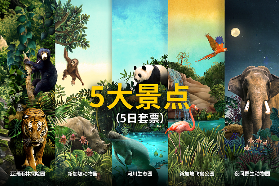 5大景点（5日套票）