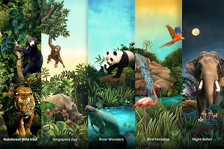 Multi-Attraction Destination Passes