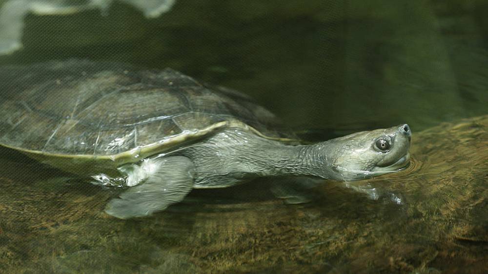 Protected River Refuge