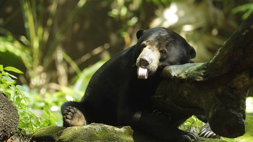 Managed Species Programmes