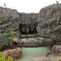 Rainforest Wild Asia Itinerary