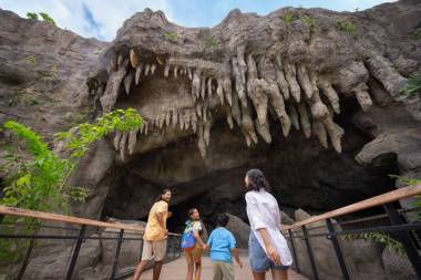 Single Attraction Admission