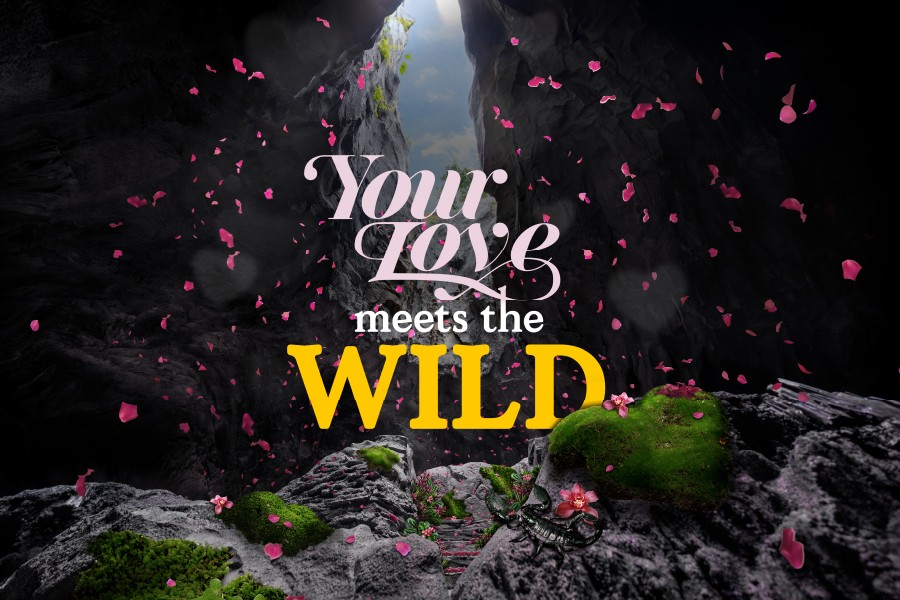  前来亚洲雨林探险园和Jisoo一起趣走花路，开启浪漫之旅！