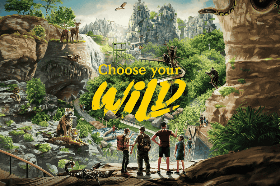 Rainforest Wild ASIA Itinerary