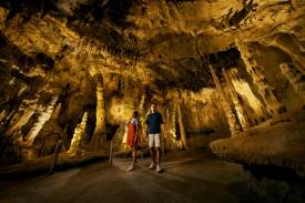 Best photo spots at the Mandai Wildlife Reserve