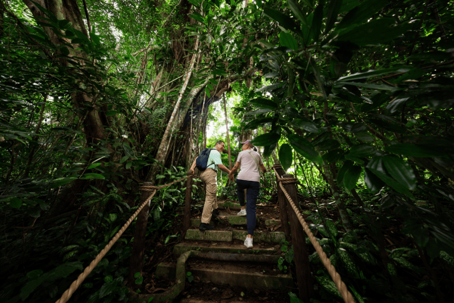 Senior-friendly wildlife experiences at the Mandai Wildlife Reserve