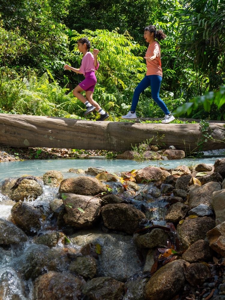 Forest Treks, Intersecting the Elevated Walkway, this adventurous trail takes you deeper into the rainforest.