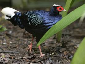 Follow Designated Paths