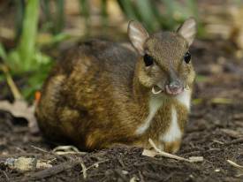 Stay Quiet And Respectful