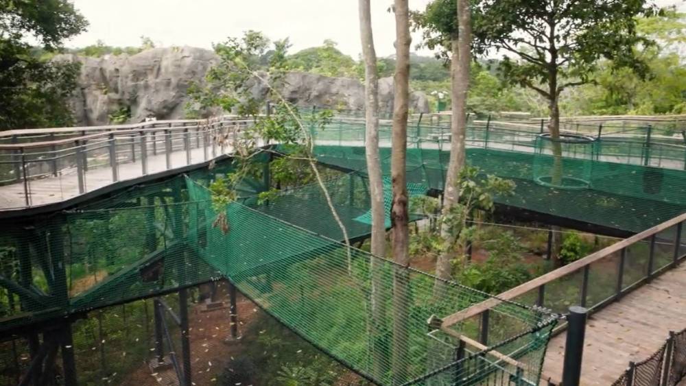 view of a net above the ground