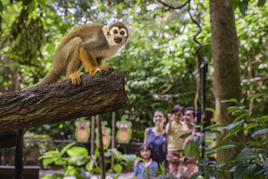 River Wonders Park Map