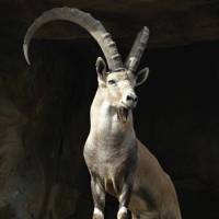 Great Rift Valley of Ethiopia