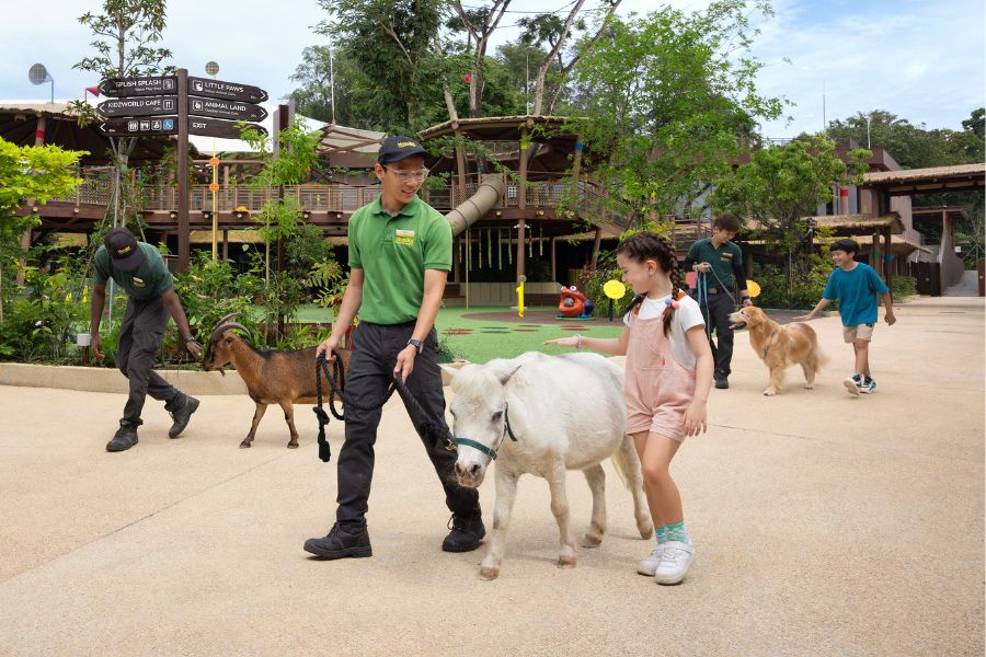 /content/dam/mandai/singapore-zoo/animals-zones/kidzworld/meet-the-pack-900x600.jpg