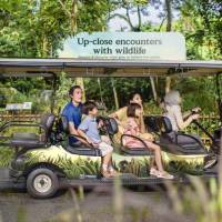 野生動物とのふれあい体験