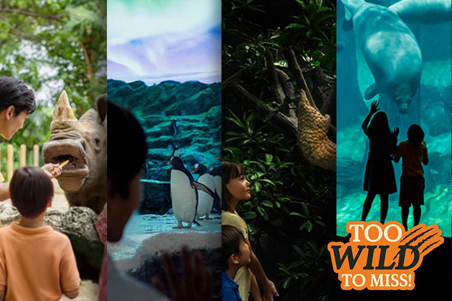 Elevate your park experiences