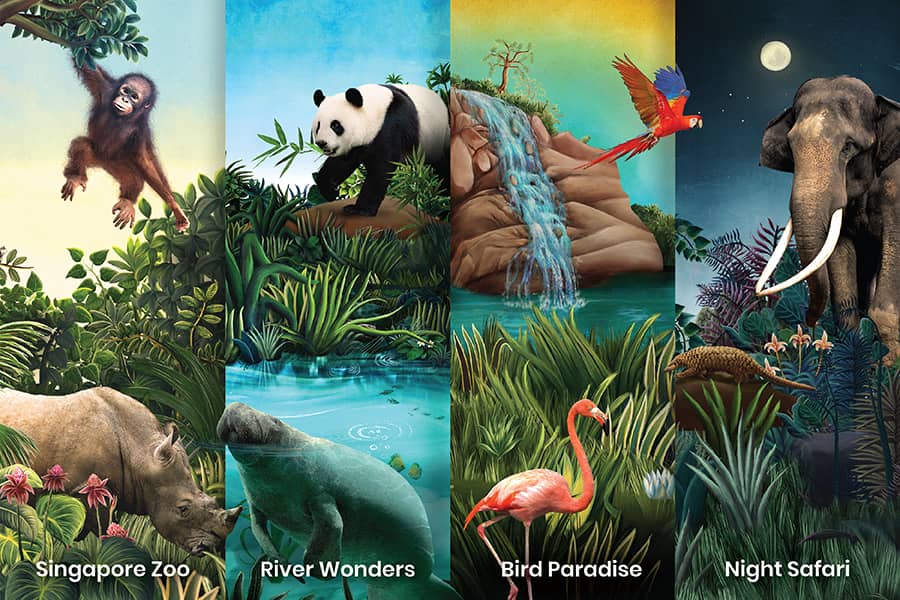 Elevate Your Park Experience