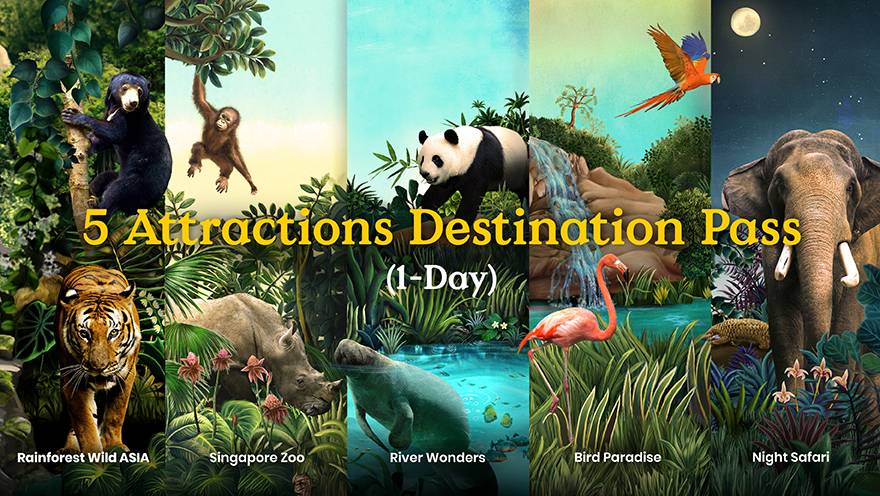 5 Attractions Destination Pass (1-Day)